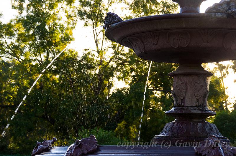 Fountain, evening light, Adelaide Botanic Gardens IMGP8857.jpg